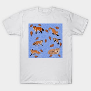 Red Foxes in Blue T-Shirt